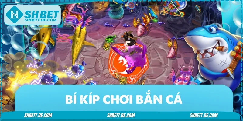Bí Kíp Chơi Bắn Cá - Hướng Dẫn Từ Cơ Bản Đến Nâng Cao
