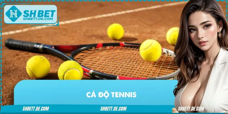 Cá Độ Tennis - Mẹo Soi Kèo Tennis Chính Xác Cho Mọi Giải Đấu