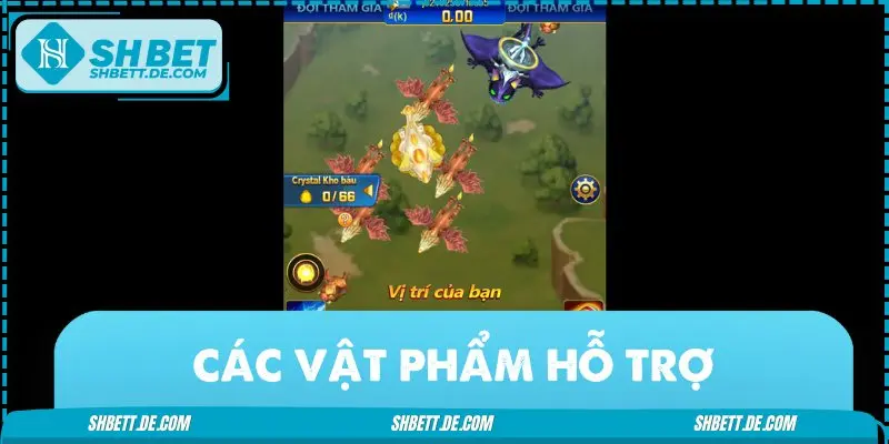 Các vật phẩm đang được hỗ trợ