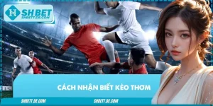 Cách Nhận Biết Kèo Thơm Trong Bóng Đá Không Thể Bỏ Qua