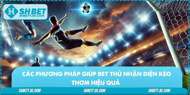 Các tín hiệu giúp game thủ nhận diện kèo thơm trong bóng đá