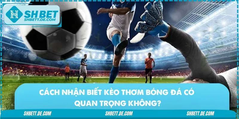 Lợi ích của việc nắm bắt kèo thơm khi cá cược bóng đá