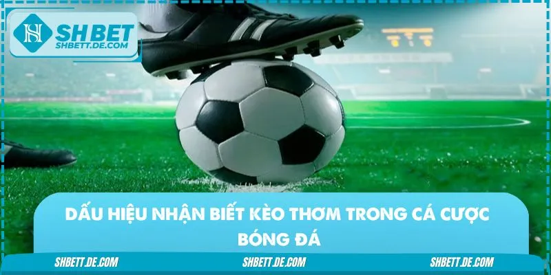 Dấu hiệu quan trọng để nhận biết kèo thơm bóng đá