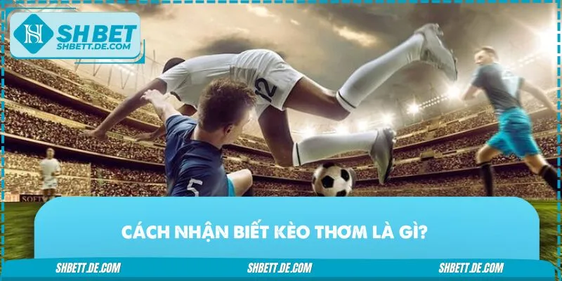 Cách nhận biết kèo thơm cho game thủ cá cược bóng đá 