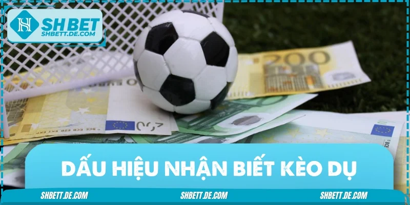 4 dấu hiệu nhận biết chính xác dành cho người mới