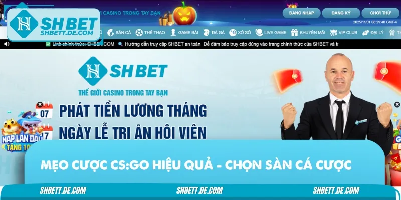Chọn địa chỉ tham gia cá cược đảm bảo chuyên nghiệp
