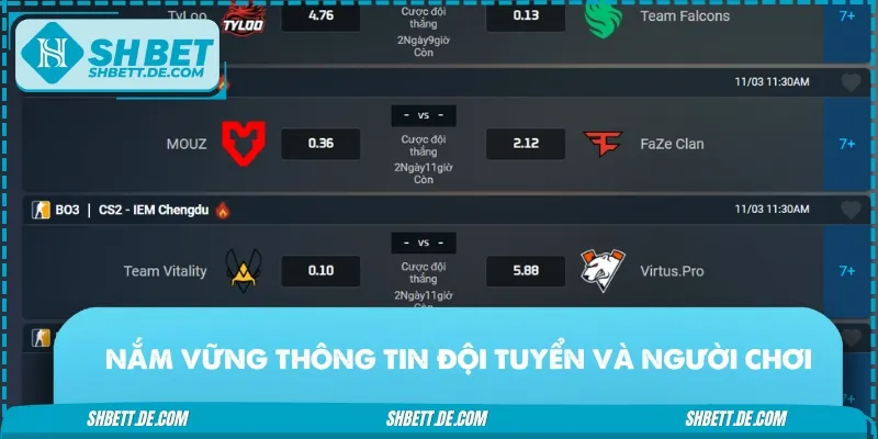 Tìm hiểu rõ về thông tin của đội tuyển trước khi cược