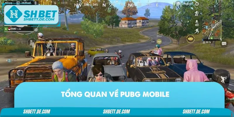 PUBG Mobile là siêu phẩm sinh tồn hàng đầu thế giới