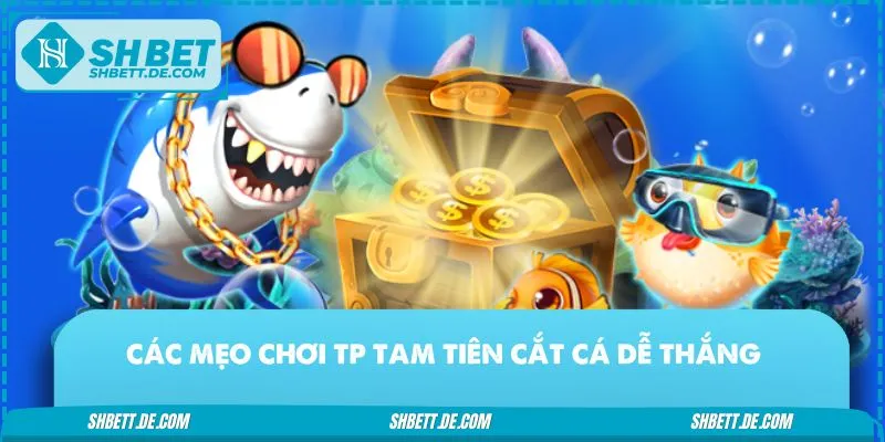 Các chiến thuật chơi TP Tam Tiên Cắt Cá đỉnh cao