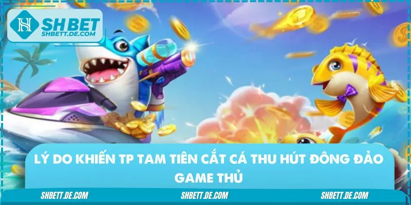 TP Tam Tiên Cắt Cá có gì mà hot đến vậy? 